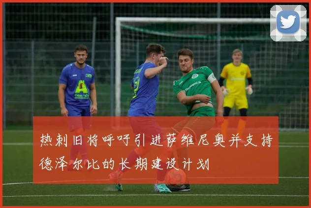 热刺旧将呼吁引进萨维尼奥并支持德泽尔比的长期建设计划
